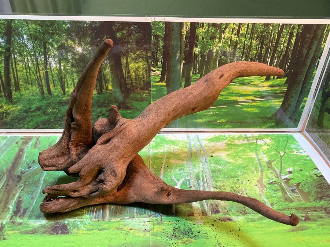 ちゃま　3点