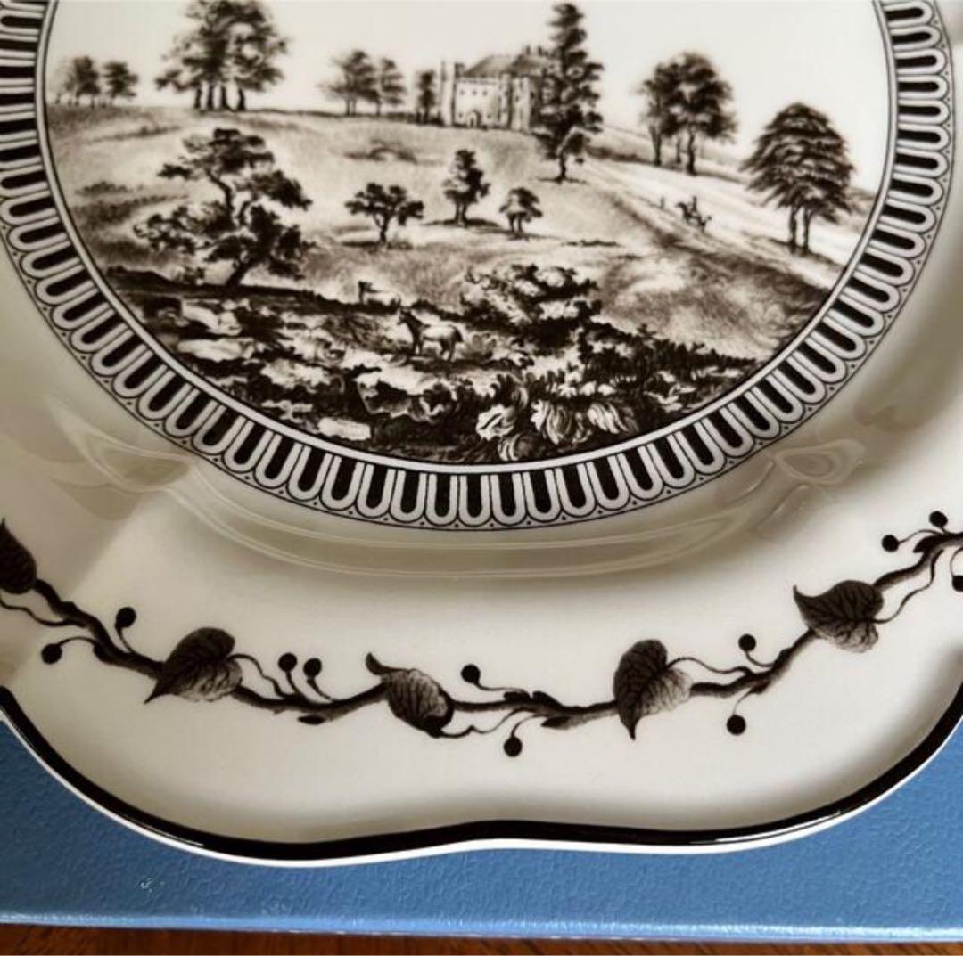 【希少品】ウェッジウッド★ジーニアスコレクション★フロッグサービスプレート1枚③