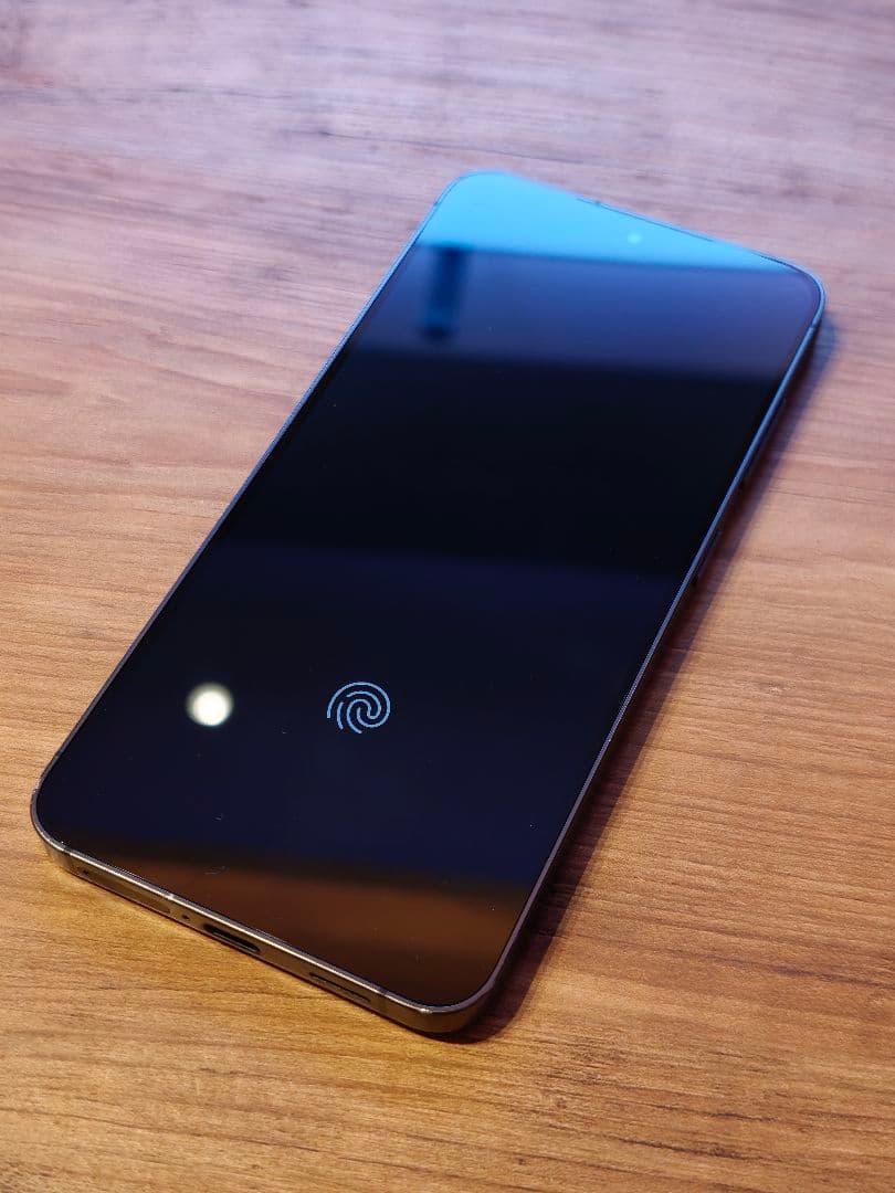 [Fahrizal] S24 SM-S9210 256GB グローバル版