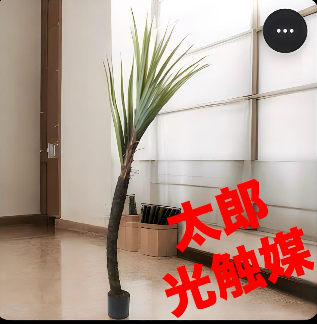 光触媒　人工観葉植物　ウォールグリーン　フェイクグリーン　240cmバンダナス