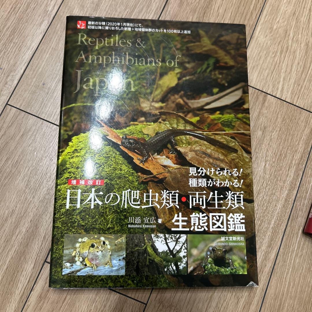 本気の恐竜図鑑セット