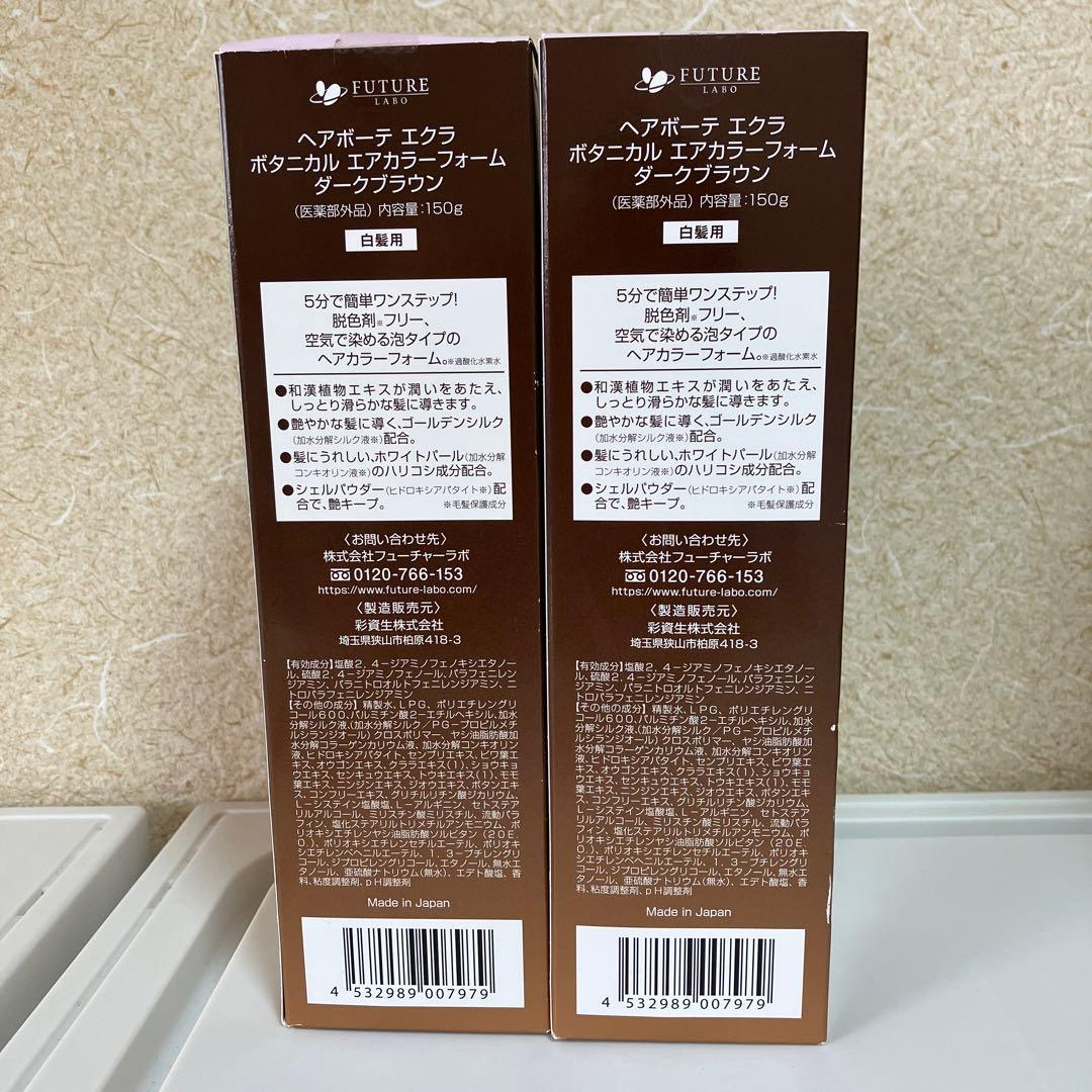 ヘアボーテエクラ　ボタニカル　カラーフォーム　ダークブラウン150g×2本セット