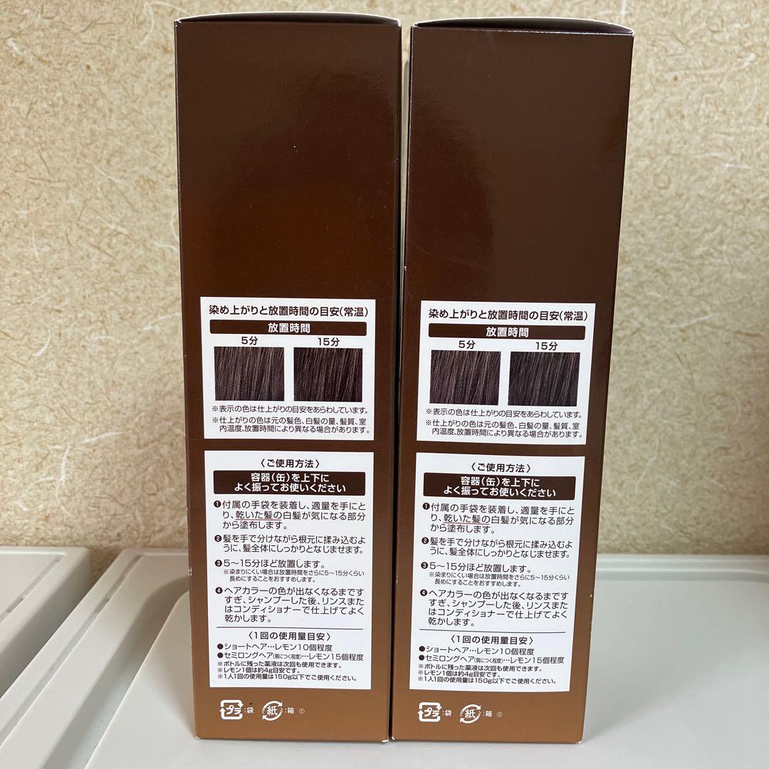 ヘアボーテエクラ　ボタニカル　カラーフォーム　ダークブラウン150g×2本セット