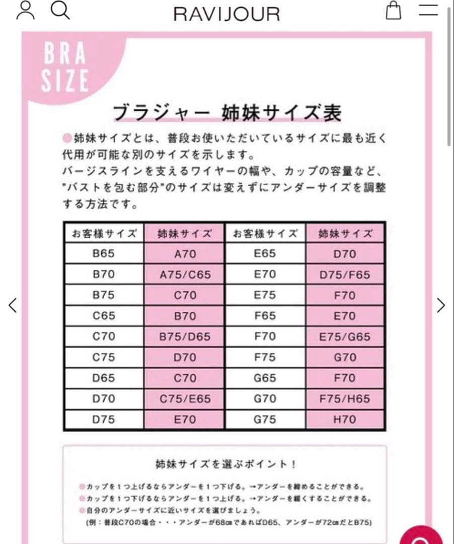 値下げ× LINGERIEAM 2026年 福袋 E70 ラヴィ姉妹高級ブランド