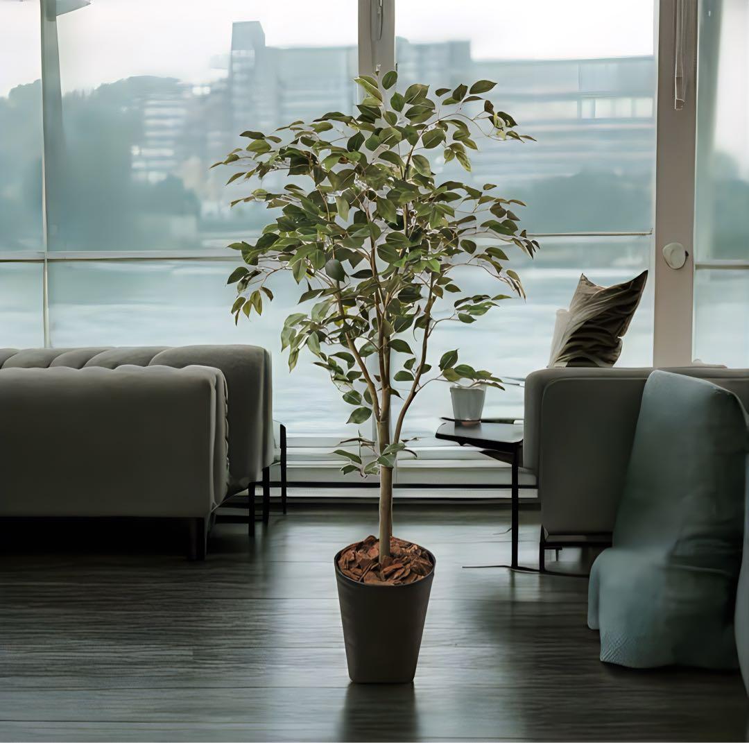 光触媒　人工観葉植物　ウォールグリーン　フェイクグリーン　ベンジャミン160