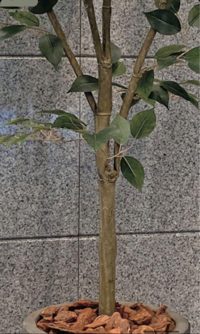 光触媒　人工観葉植物　ウォールグリーン　フェイクグリーン　ベンジャミン160