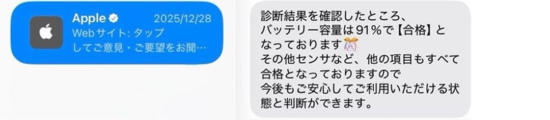 iPad mini (第5世代) Wi-Fiモデル 64GB スペースグレイ