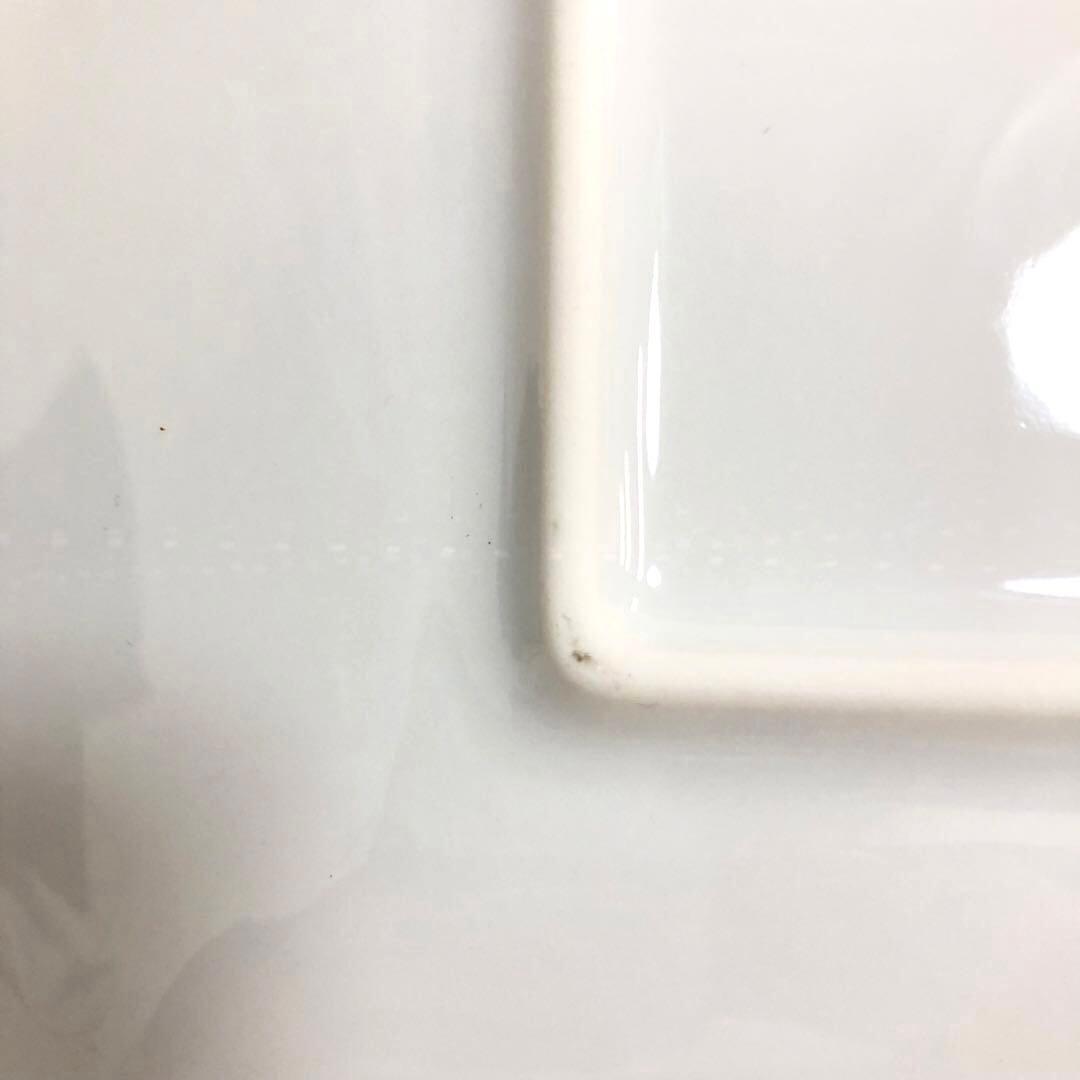 リチャードジノリ　スクエアプレート　スペランツァ　ミナペルホネンコラボ