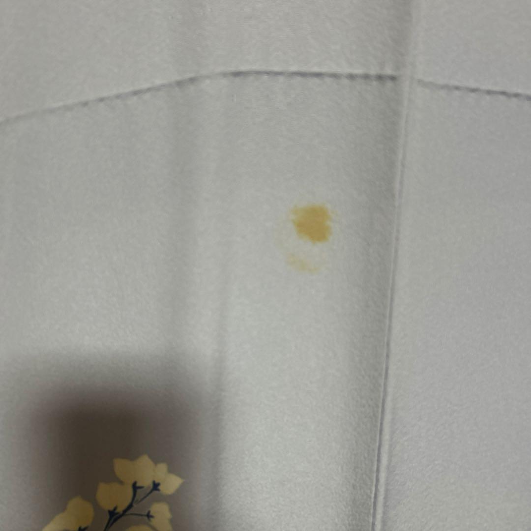 正絹　縮緬　友禅　振袖　フルセット　８点　可憐　モダン