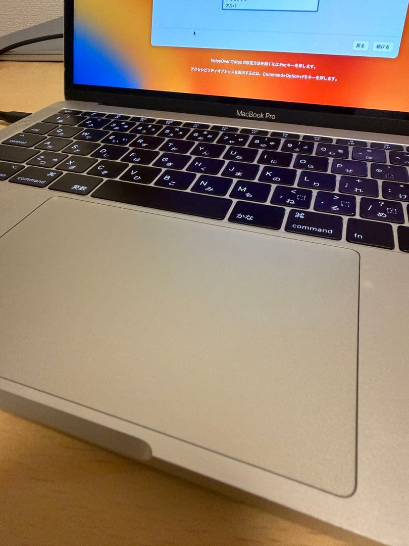 MacBook Pro 13インチ 2017 ジャンク 起動OK 充電接続時安定