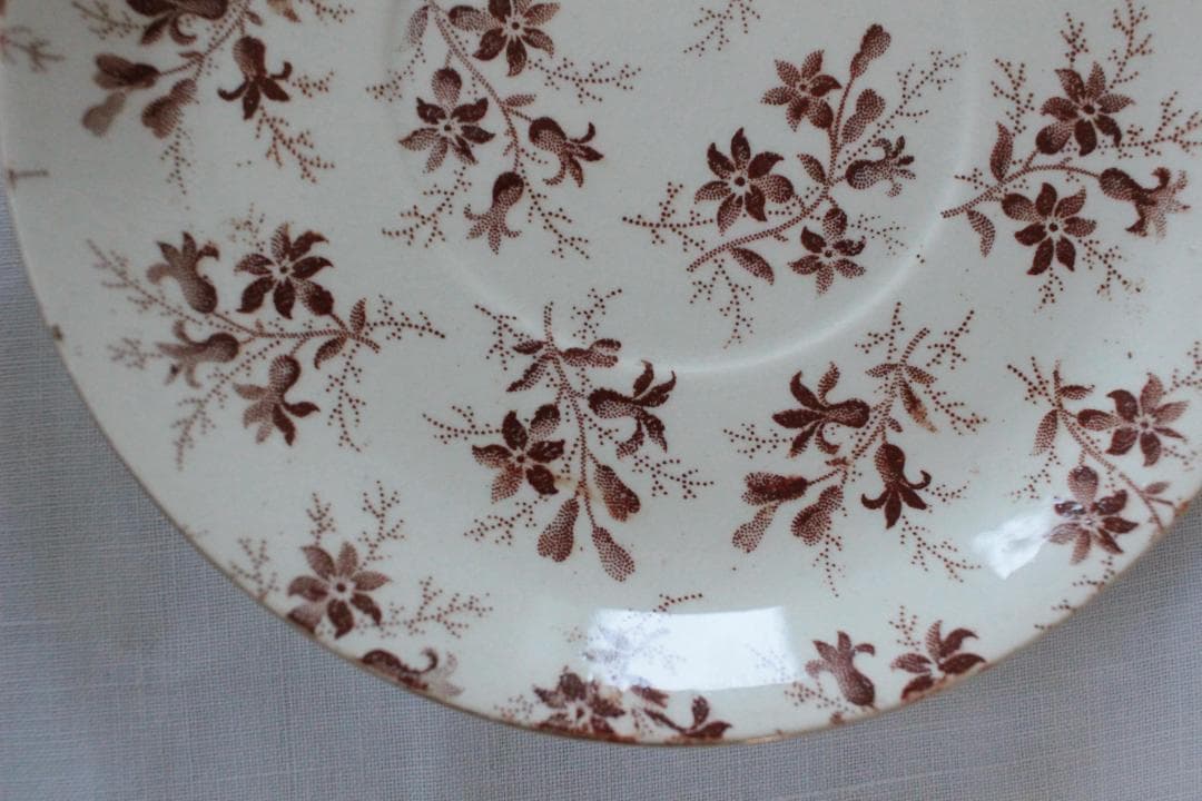 feerie さまサルグミンヌC＆S/Perse・マロン・レア