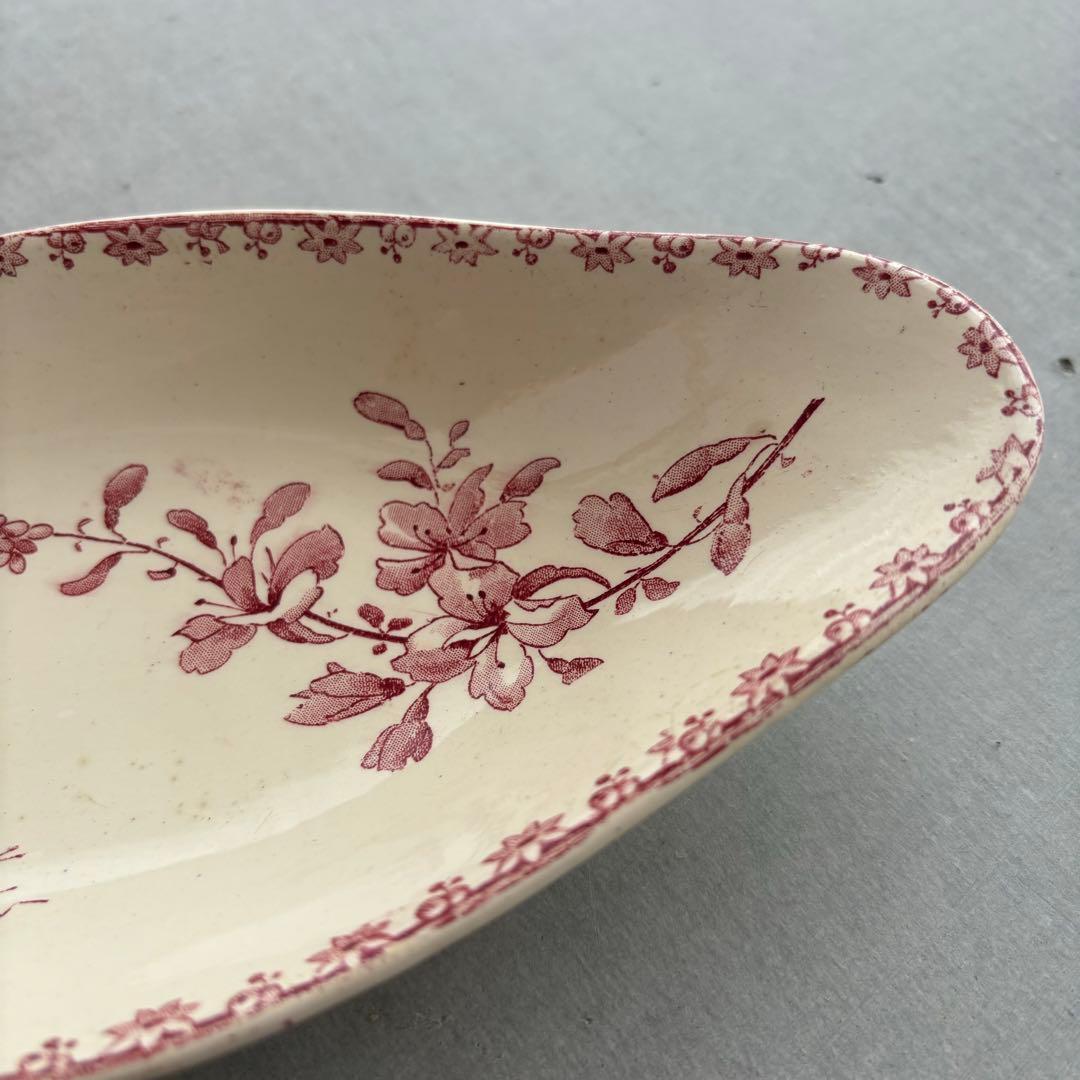 ピオニー❣️サルグミンヌ FAVORI 赤い鳥のラヴィエ