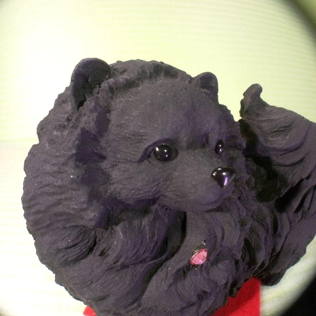 ポメラニアン　黒　ブラック　ブラックポメラニアン　レア　フィギュア