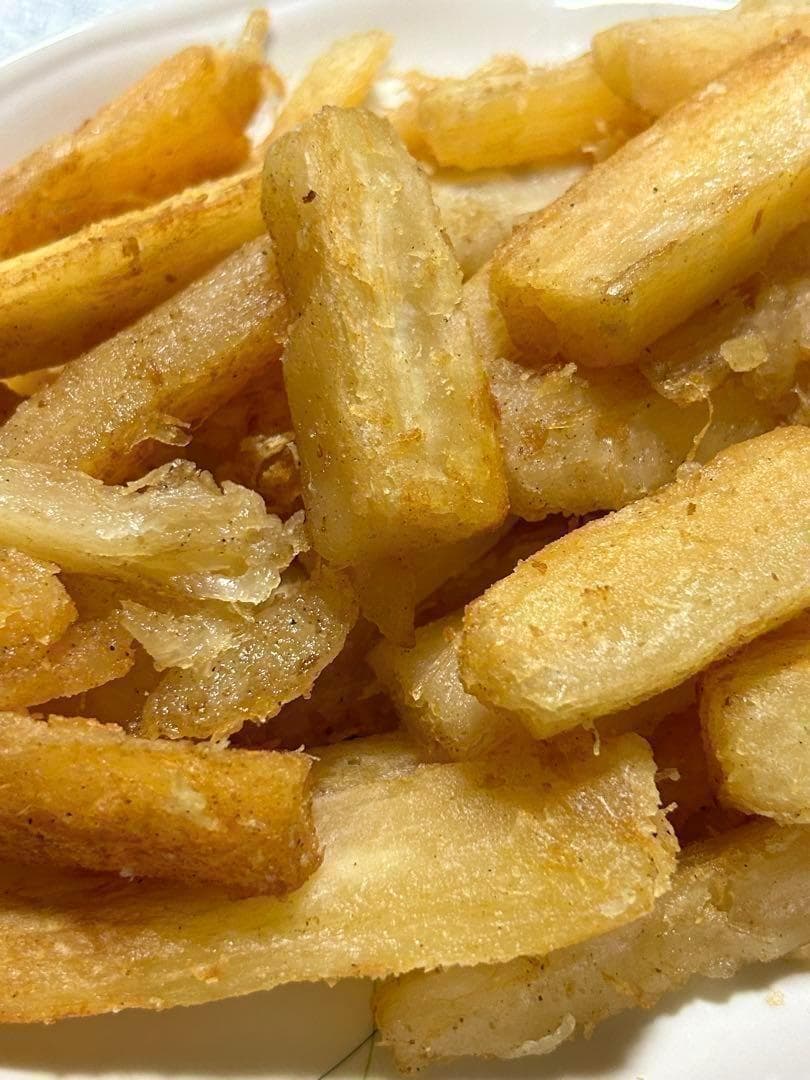 本物の太葉、ゴールデン種/キャッサバ★80サイズ段ボール大箱満杯★挿し木枝★普及