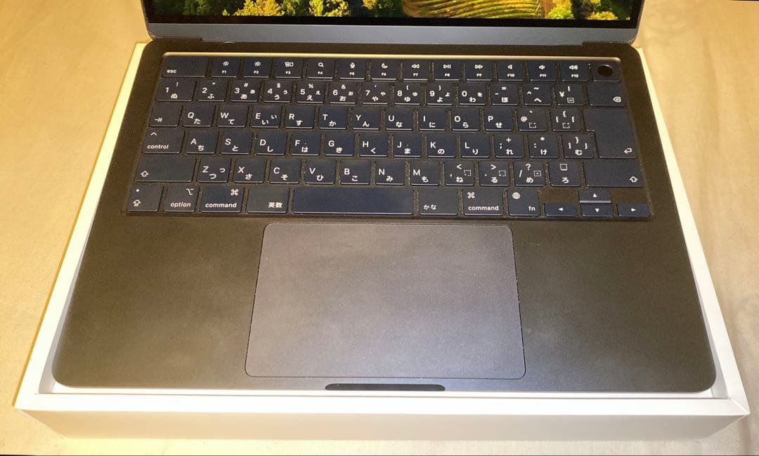 【桜 】MacBook Air 13インチ M3 512GB