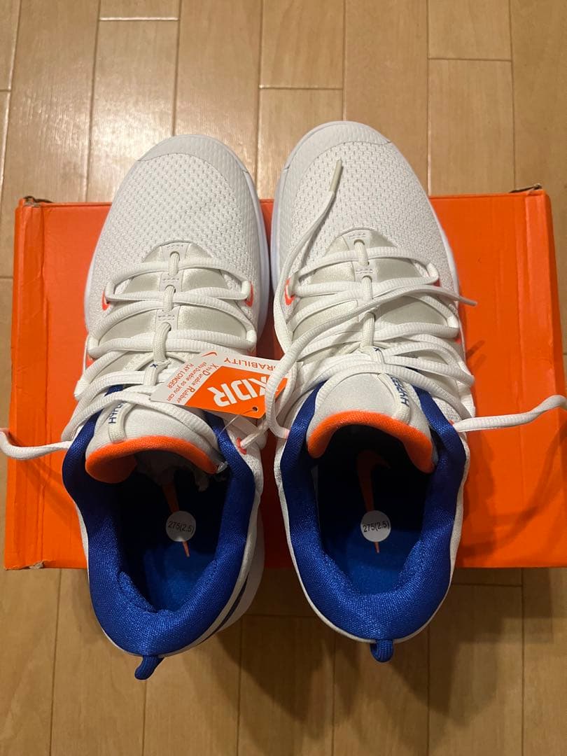 シューズ(男性用) NIKE HYPERDUNK X LOW EP