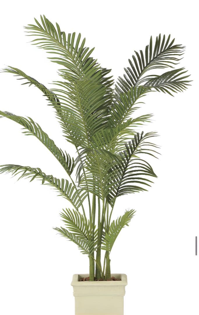 光触媒　人工観葉植物　ウォールグリーン　フェイクグリーン　フレッシュパーム2.0