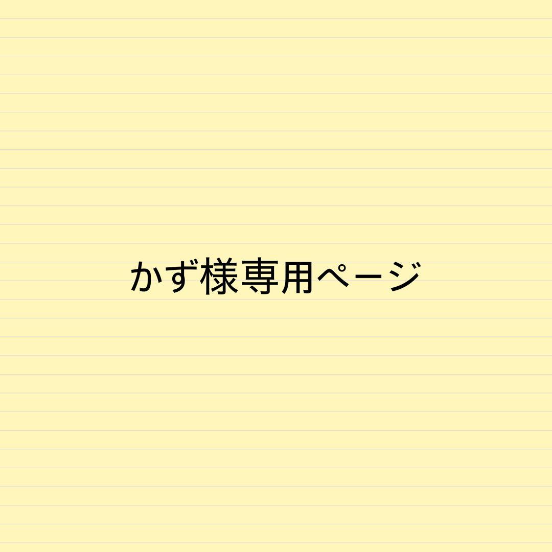 かずページバッグインバッグインナーバッグ