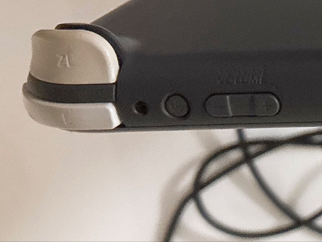 【ジャンク品】Nintendo Switch Lite 本体 充電器付き