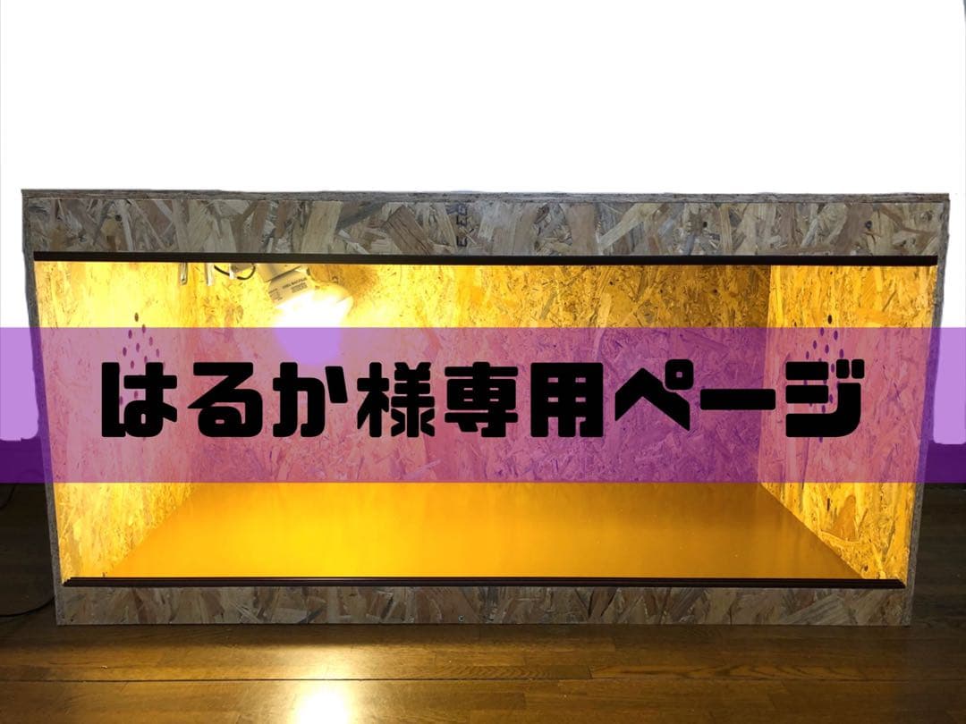 はるかページ
