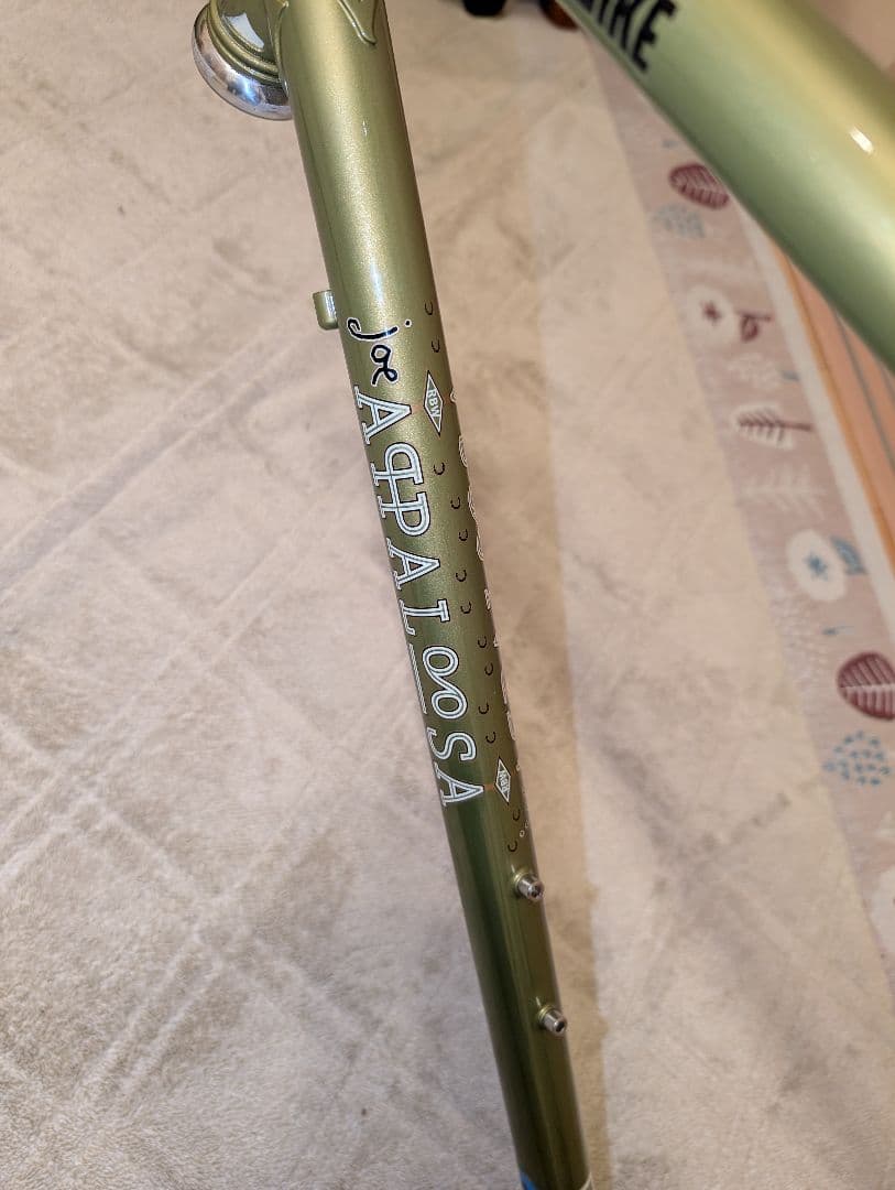 パーツ RIVENDELL JOE APPALOOSA 46 lime olive