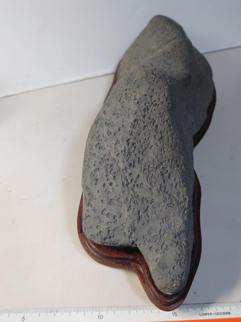 瀬田川石　島型　水石 鑑賞石