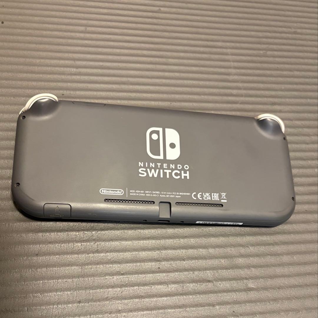 Nintendo Switch Lite グレー 本体 充電器　ケース付き