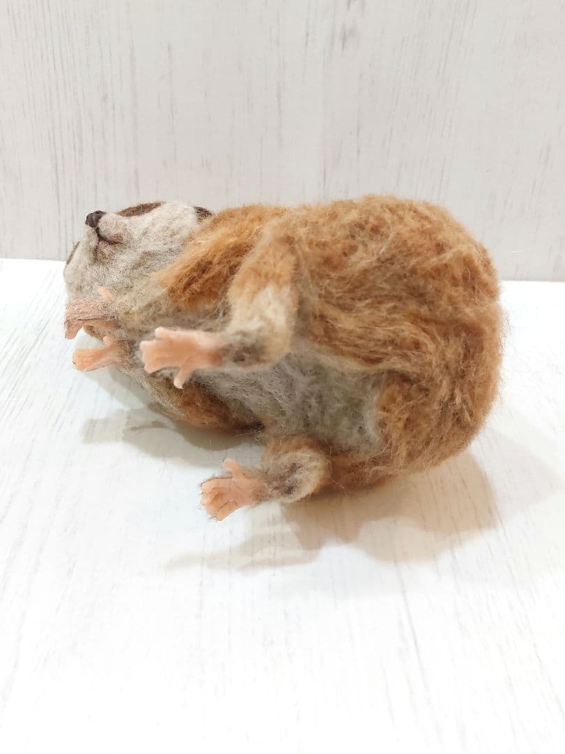 羊毛フェルト　スローロリス