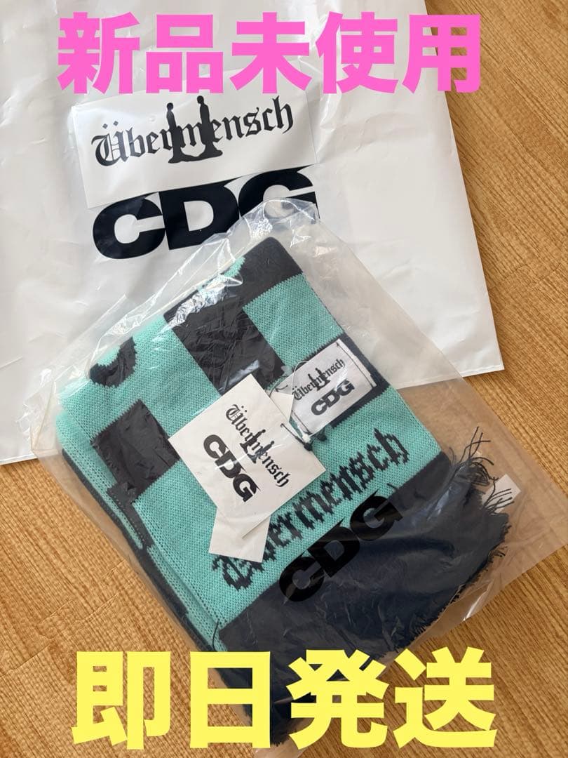 小物 CDG x G-DRAGON Checkered Stole Mint