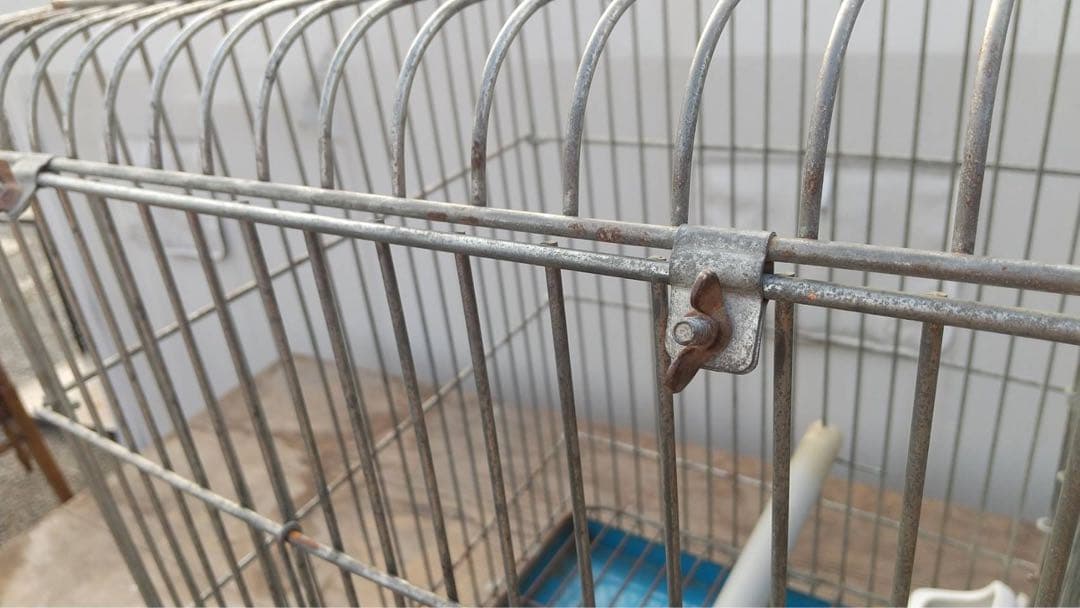 【O-1064】鳥籠 鳥カゴ オウム インコ 昭和レトロ アンティーク シャビー