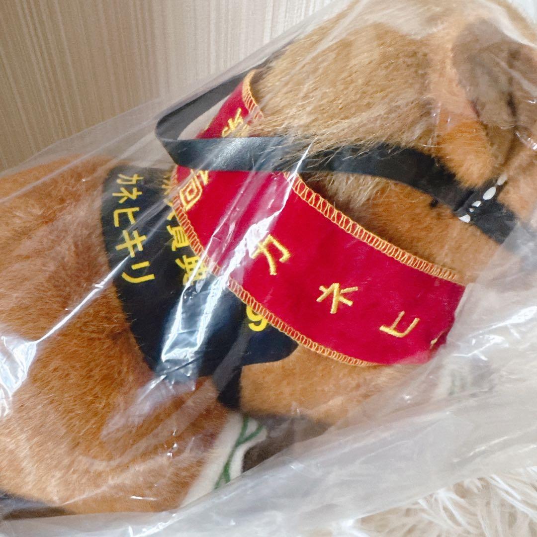 メジロファーム カネヒキリ 東京大賞典Ver.