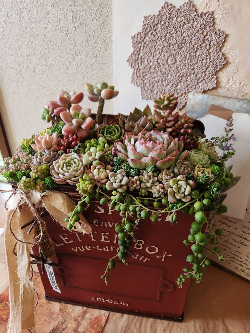 多肉植物寄せ植え　そのまま飾れる寄せ植え 　赤いポスト♡