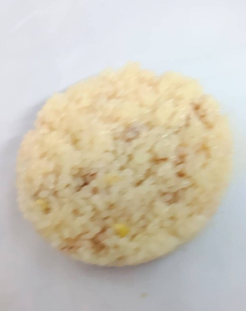 食品サンプル 大盛り 天丼 具材9点 オブジェ インテリア 置物 業務用