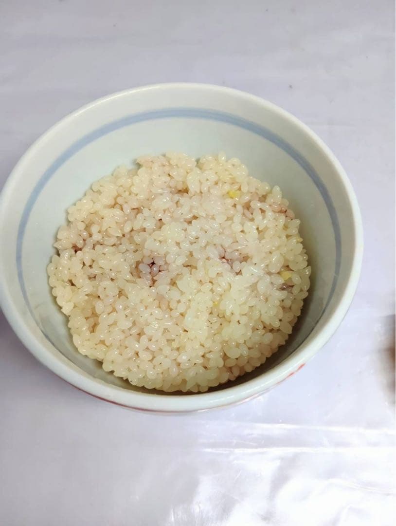 食品サンプル 大盛り 天丼 具材9点 オブジェ インテリア 置物 業務用