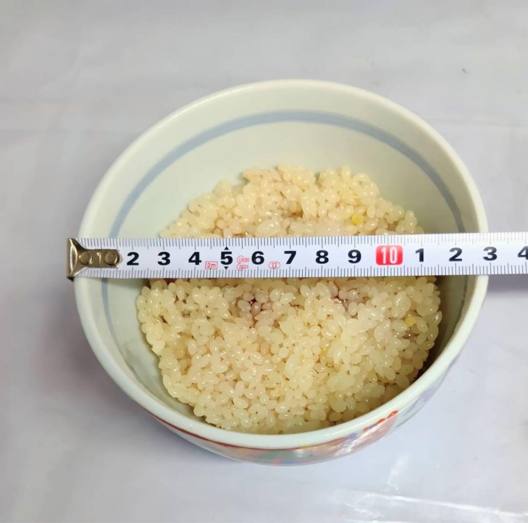 食品サンプル 大盛り 天丼 具材9点 オブジェ インテリア 置物 業務用