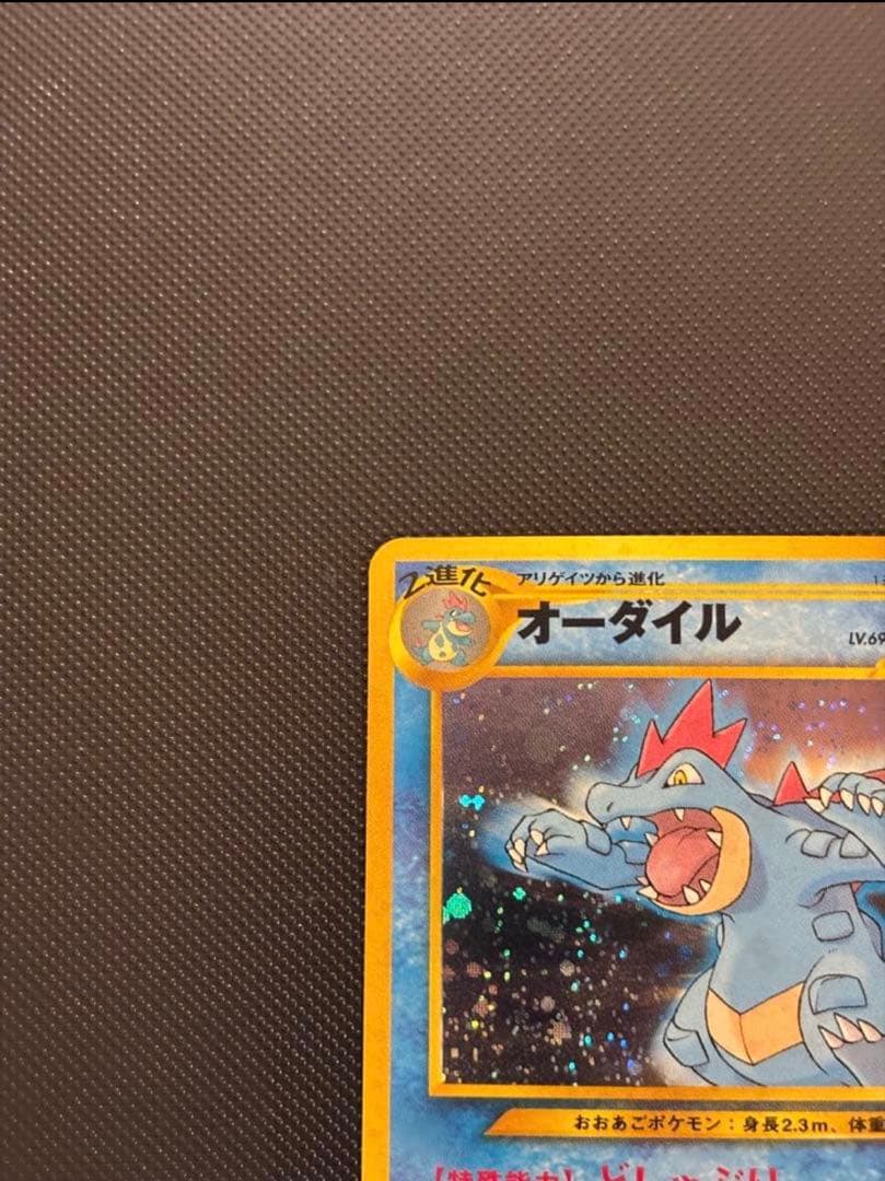 旧裏　ほぼ完美品　オーダイル　プレミアムファイル ★neo 金、銀、新世界へ
