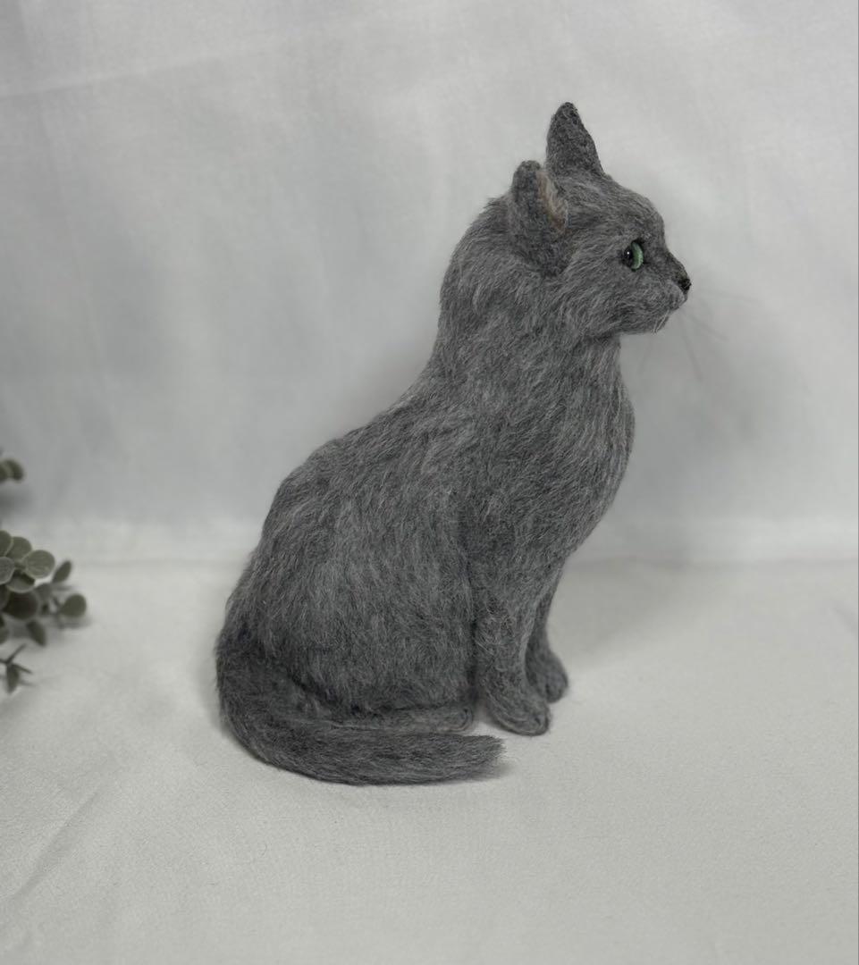 サンプルページ ロシアンブルー Ｍサイズ 植毛あり