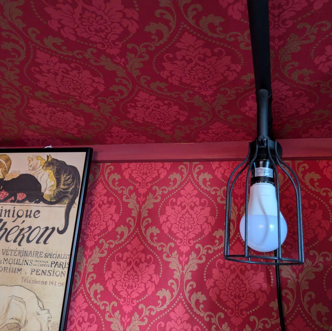 【新品未使用】ドローアライン　テンションロッド A＋ランプ A