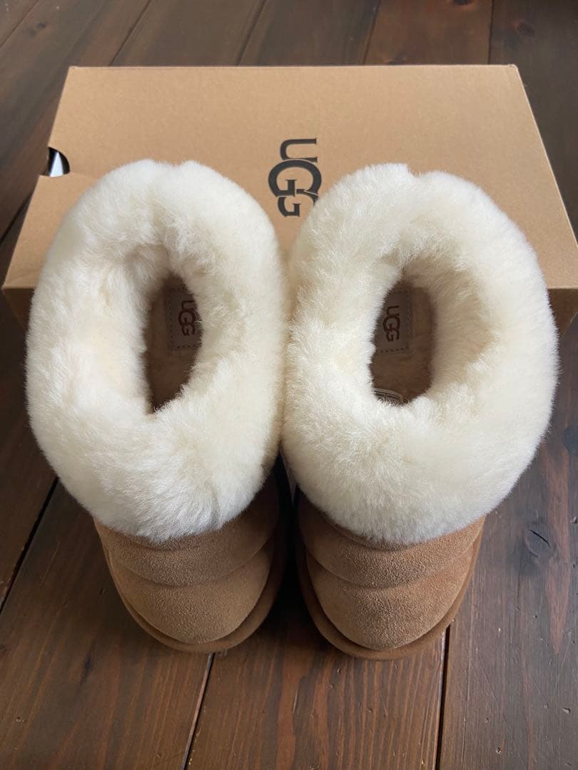 【新品未使用】UGG tazzlitaダズリータ JP21センチ　ステッカー付