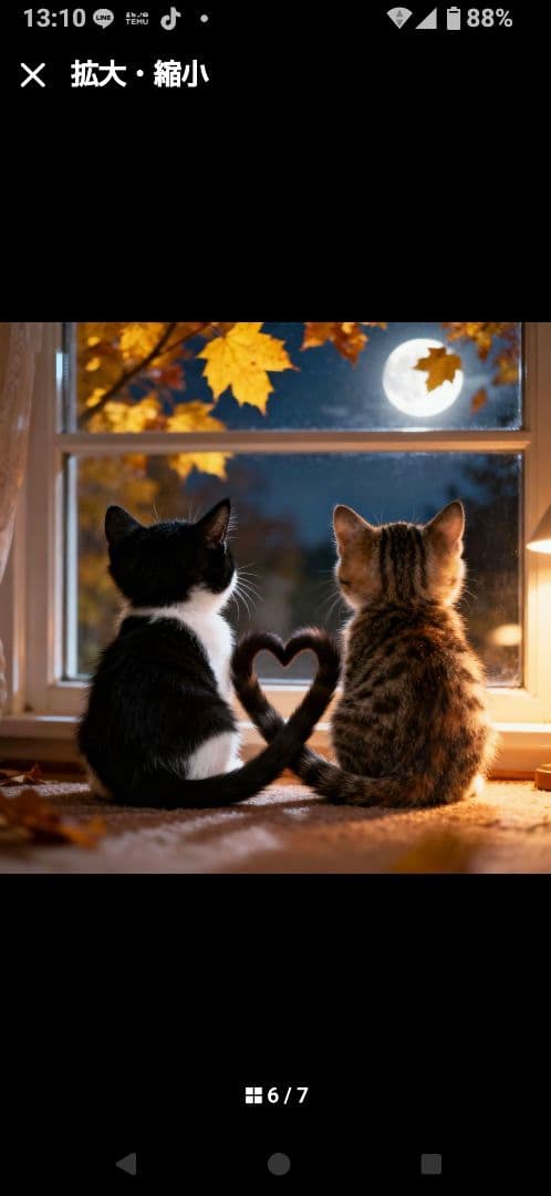 ご確認用　なつぞら様　ハンカチ　ネコちゃん柄