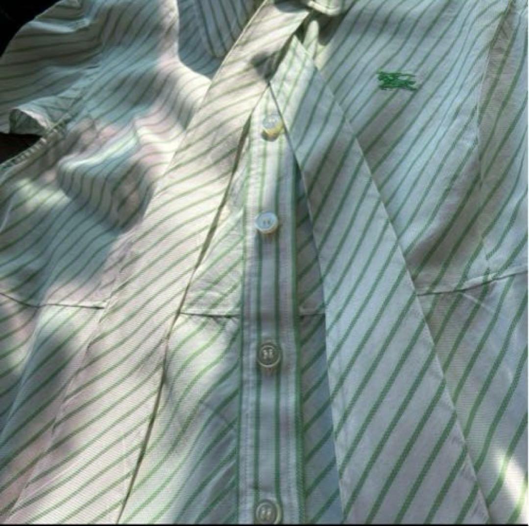 BURBERRY BLUE LABEL バーバリーブルーレーベル　シャツ