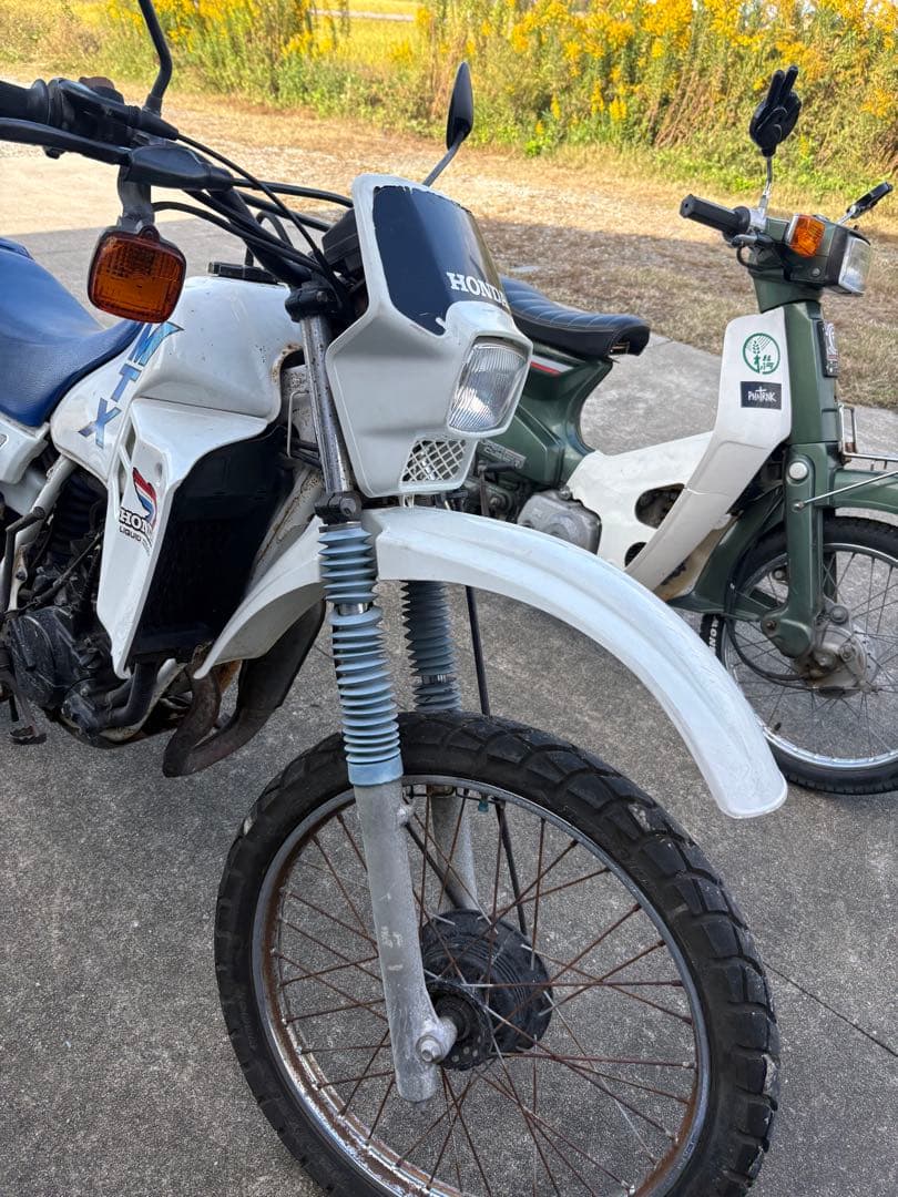 HONDA MTX 50r オフロードバイク ホワイト/ブルー