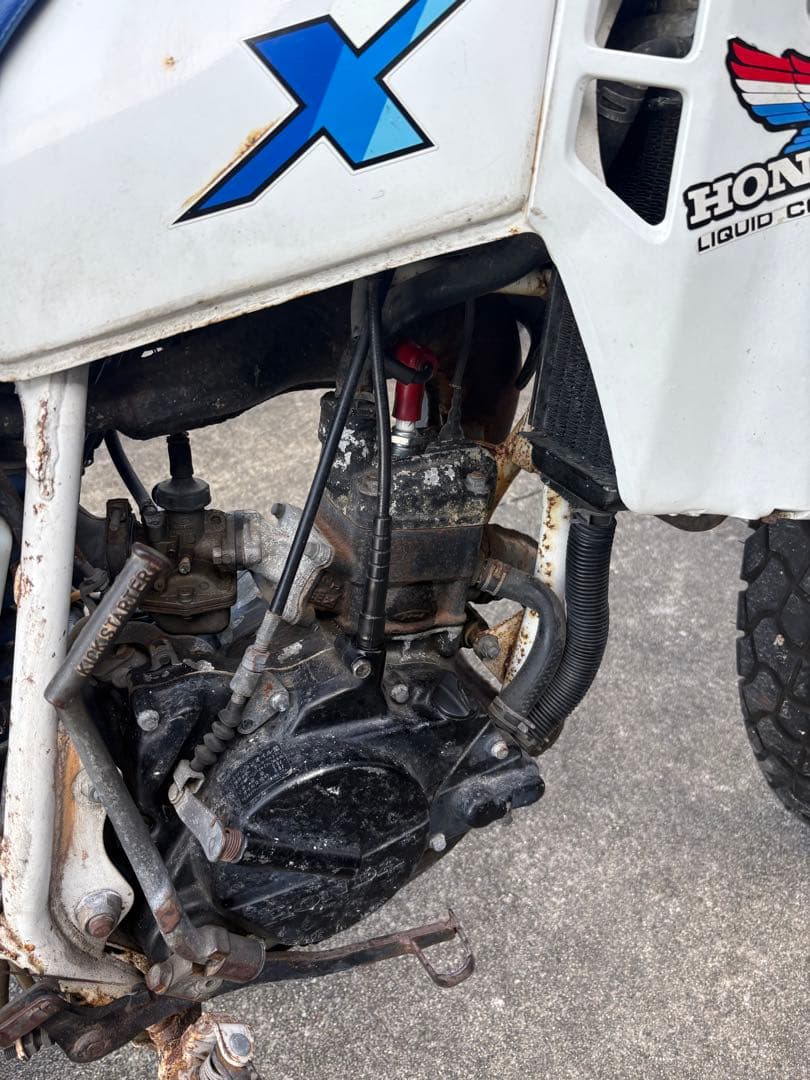 HONDA MTX 50r オフロードバイク ホワイト/ブルー