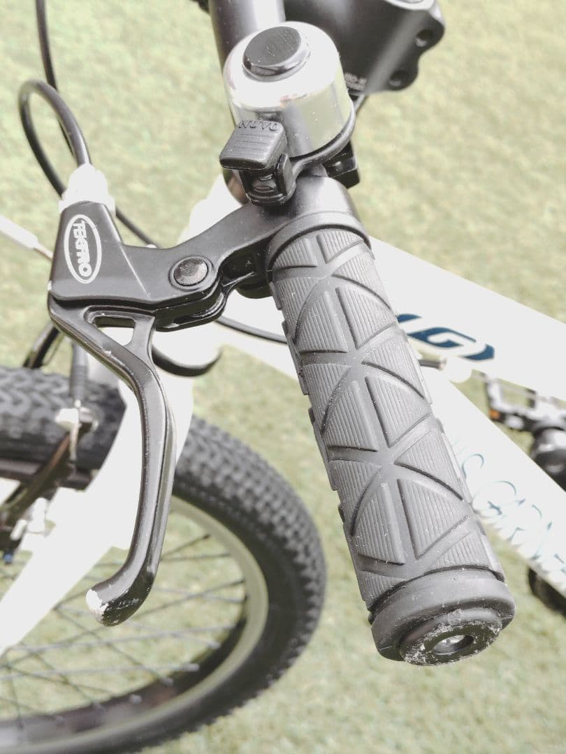 ルイガノ　J20【兵庫県　直接引渡し限定】