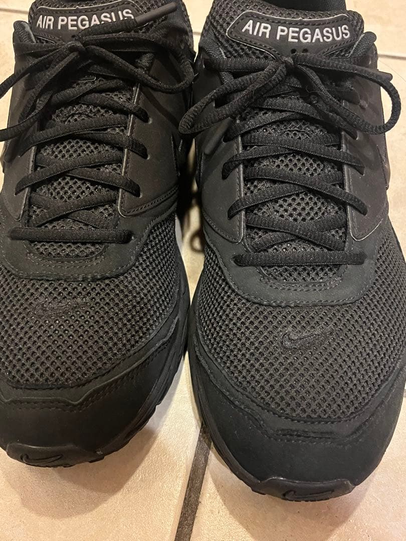 【本日限定】Nike×COMME des GARCONS Air Pegasus