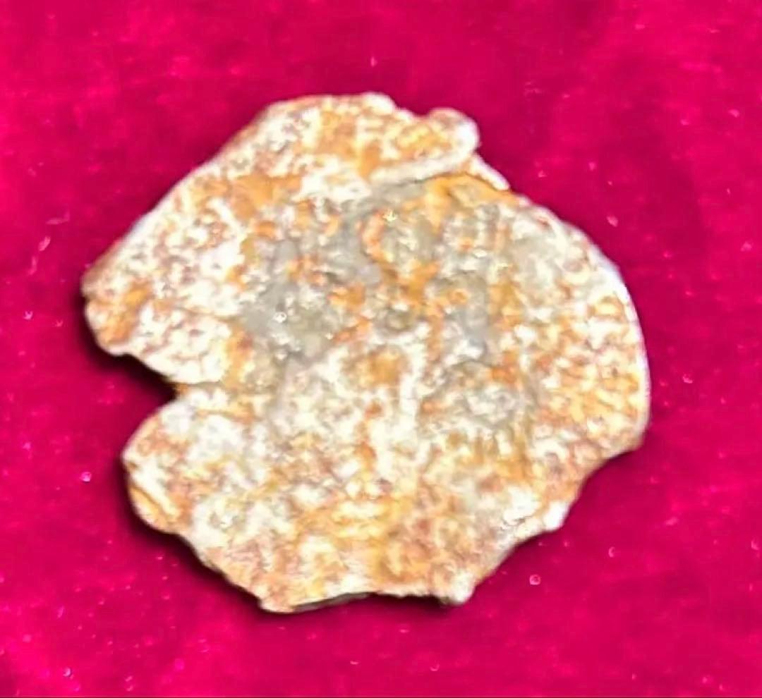 アルゼンチン鉄隕石強磁隕石　宇宙からのプレゼント　 agt111