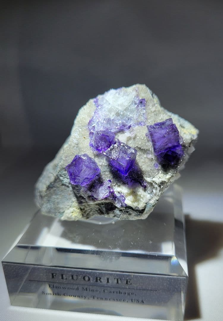 フローライト エルムウッド Elmwood 鉱物標本