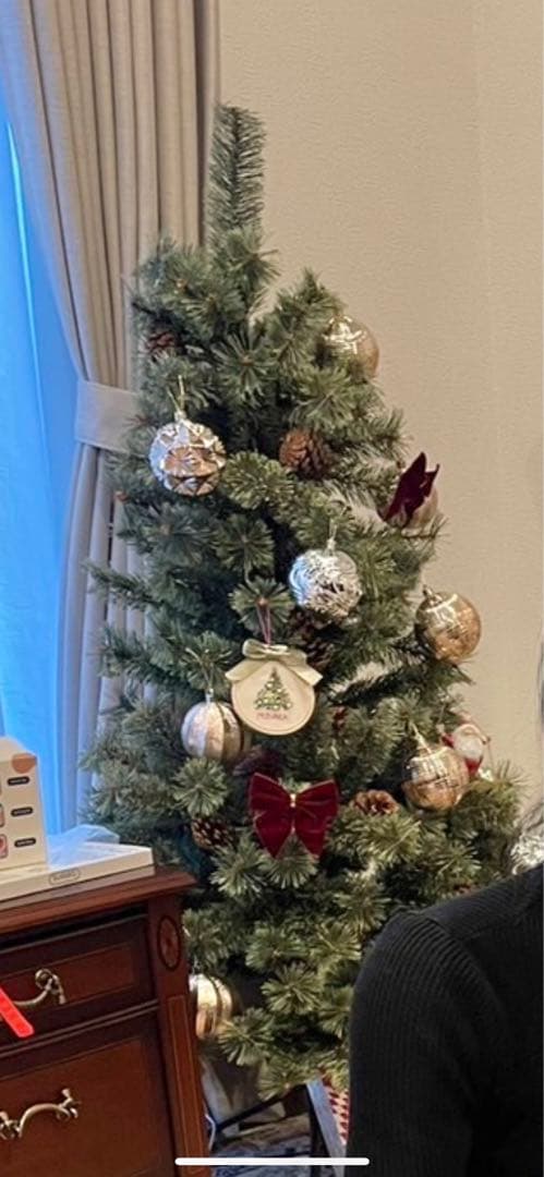 Alsace 120 クリスマスツリー 2024年購入