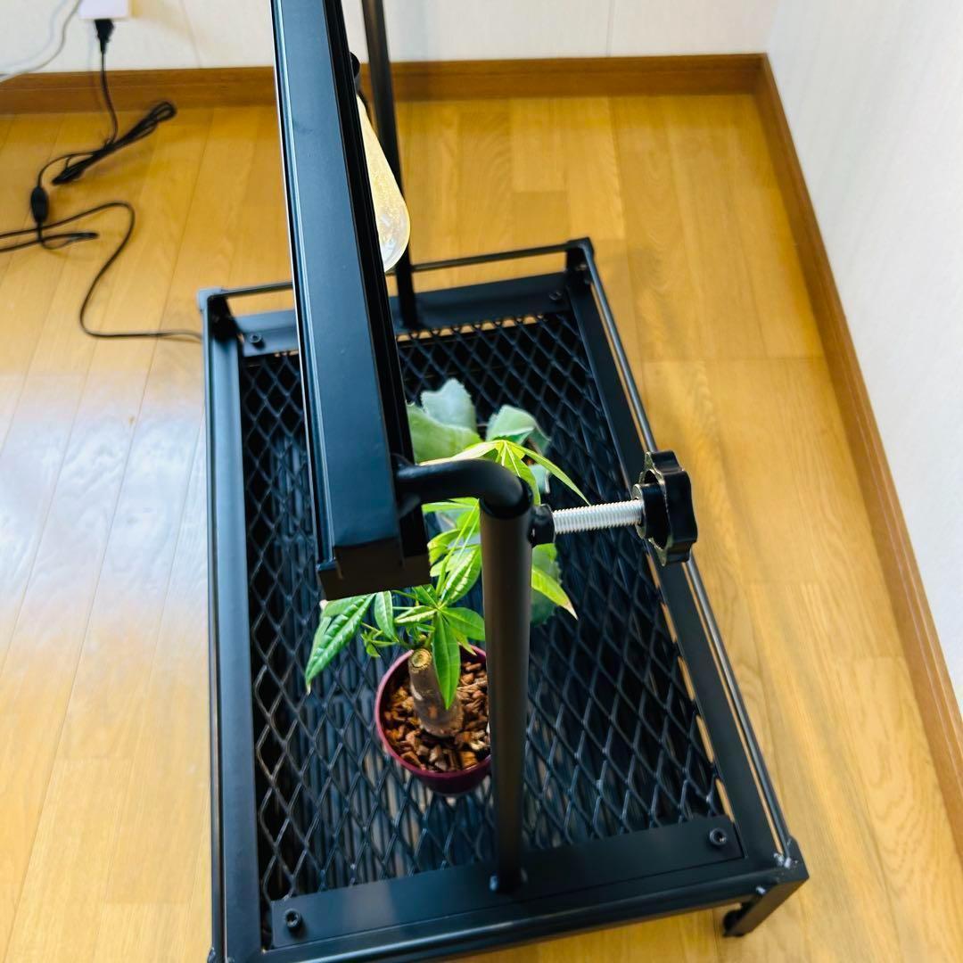 植物棚　シェルフ　アガペーラック　ダクトレール50cm 受け皿