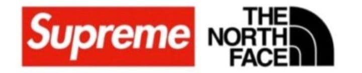 Supreme / The North Face Waist Bag ブラウン